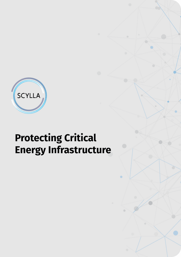 Protecting Critical Energy Infrastructure Checklist