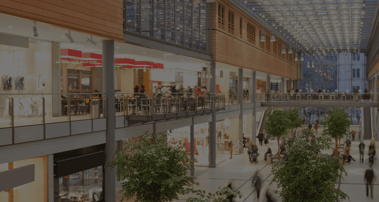 Preventing Gun Violence in Retail Stores and Malls | Executive Guide